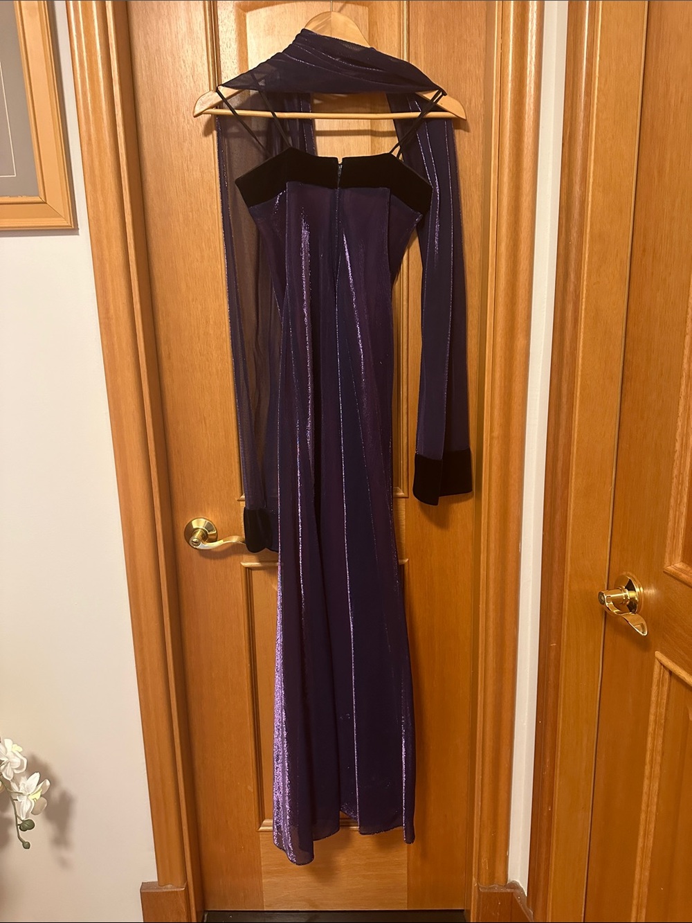 Elegant Evening Gown with Sheer Overlay size 6 - Picture 4 of 4